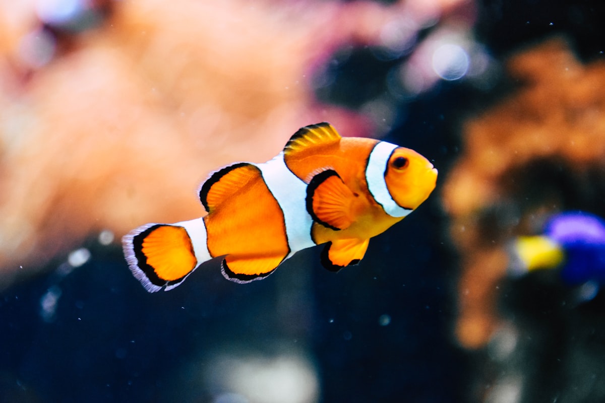 水族館